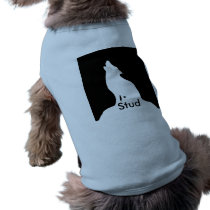 night wolf, Stud pet clothing