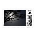nightacacia postage
