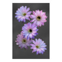 NIGHTBLOOMS COMPOSITE 1 posters by robert_coyne NIGHTBLOOMS COMPOSITE 1 posters