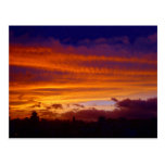 Nightfall over the City Postcards