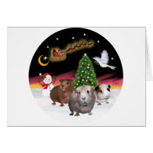 NightFlight - 3 Guinea Pigs Greeting Card