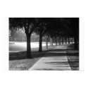 Nightime Street Scene posters