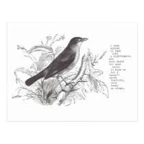 nightingale postcards