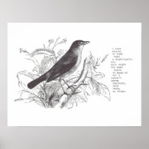 nightingale posters
