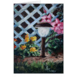flowers, garden, solar, lamp, night, light, pink,