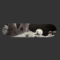 Nightscape skateboard skateboards