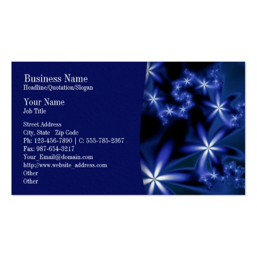 Nighttime Passions Company/Business Card (front side)