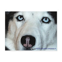 Nika postcards by tottshr Nika postcards