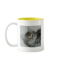 Nikarl Tabby Siberian Kitten on Mug... mugs