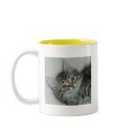 Nikarl Tabby Siberian Kitten on Mug...