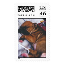 Nikita 6 weeks postage by Nikita13 Nikita 6 weeks postage