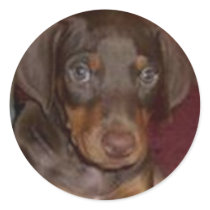 Nikki stickers