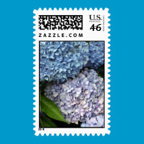 Nikko Blue Hydrangea Postage Stamp