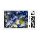 nikko postage by blacqbook nikko postage