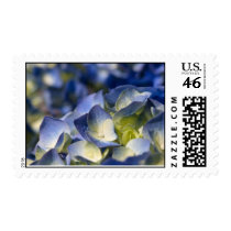 nikko postage