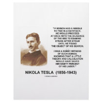 Nikola Tesla Edison Needle Haystack Theory Quote Letterhead Template