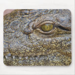 Nile crocodile from Africa Mousepads
