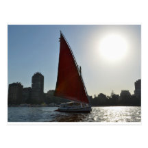 Nile Felucca In The Sun Postcard