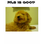 Nils Is Good