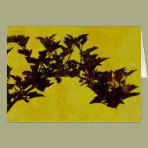 Nine Bark cards