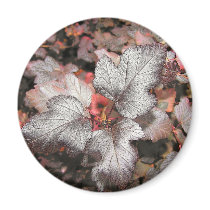 Nine Bark Refrigerator Magnets