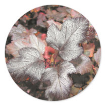 Nine Bark stickers
