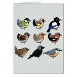 Nine cute Birdorable birds from Europe Card
