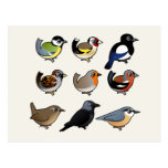 Nine cute Birdorable birds from Europe Postcard
