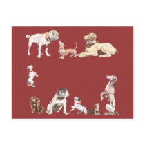 Nine Dogs Post Card