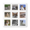 Nine Lives - Cat Magnet magnet