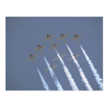 Nine Snowbirds From Below Post Cards