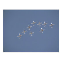 Nine Snowbirds In Flight, From Below Postcard