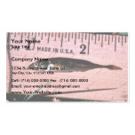 Ninespine Stickleback Business Card Templates