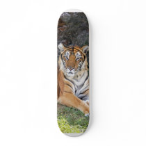 nini 002 skateboards