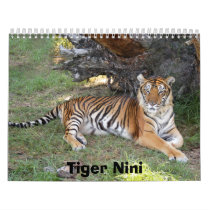 nini 002, Tiger Nini calendars