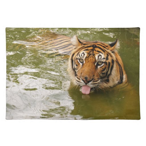 nini 007 place mat