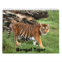 nini 008, Bengal Tiger Calendars
