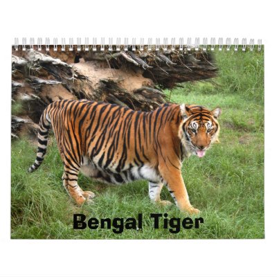 nini 008, Bengal Tiger Calendars nini 008, Bengal Tiger Calendars