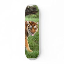 nini 008 skateboards