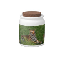 nini 012 candy jars