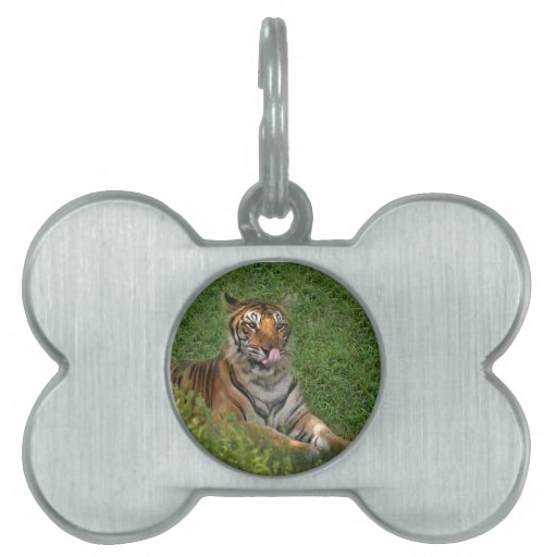 nini 012 pet name tag