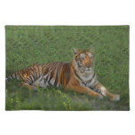 nini 013 place mats