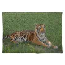nini 013 placemats