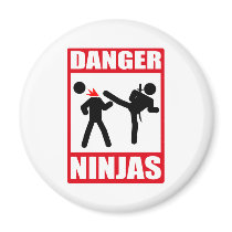 Ninja Academy Okinawa Kill Bill magnets