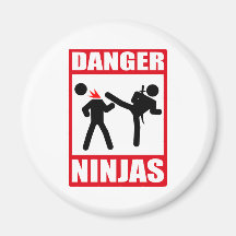 Ninja Academy Okinawa Kill Bill Magnet
