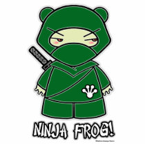 Ninja Frog! Photo Sculpture photo sculptures by ninjadorables Ninja Frog! Photo Sculpture photo sculptures