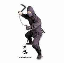 ninja jack, sculpture photo sculptures by neoninja ninja jack, sculpture photo sculptures