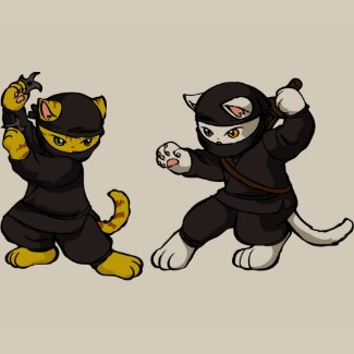Ninja Kittens shirt