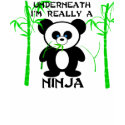ninja panda t-shirts