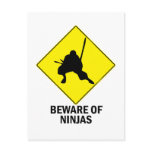 Ninja Post Card